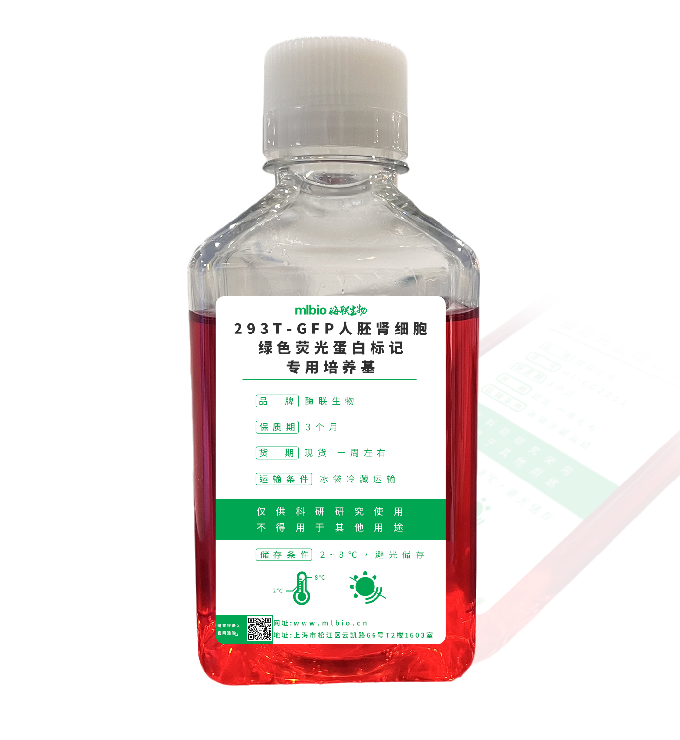 293T-GFP人胚腎細(xì)胞-綠色熒光蛋白標(biāo)記專用培養(yǎng)基主圖