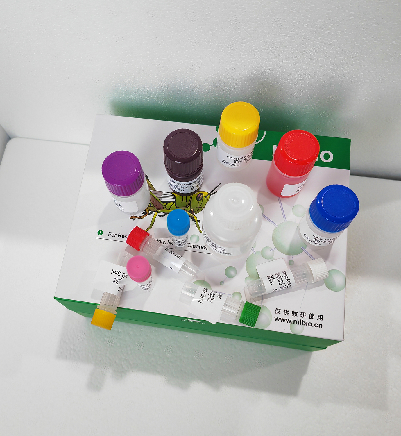 頭孢噻呋(CEF)ELISA試劑盒	主圖