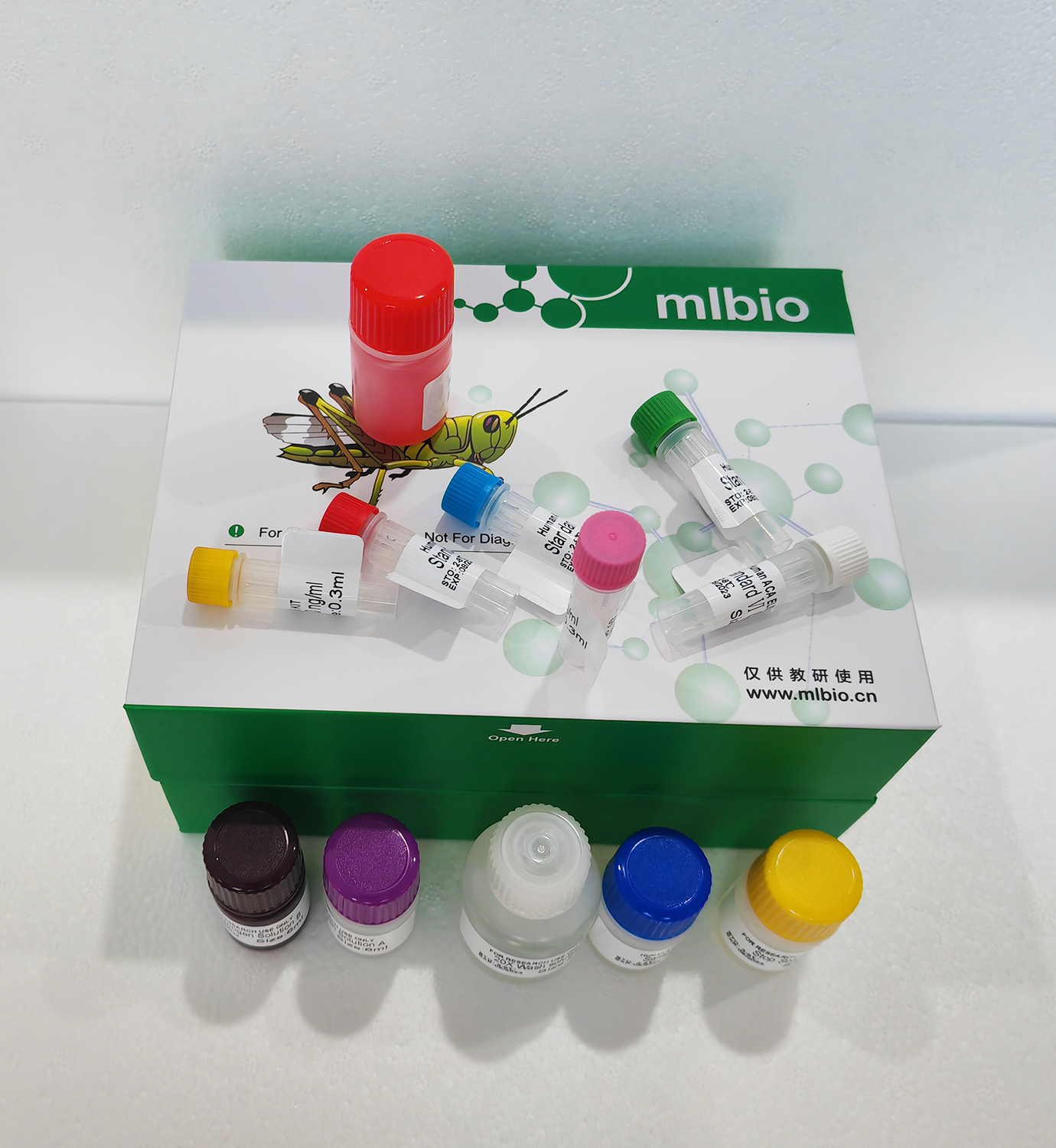 噻蟲嗪(TMO)ELISA試劑盒主圖