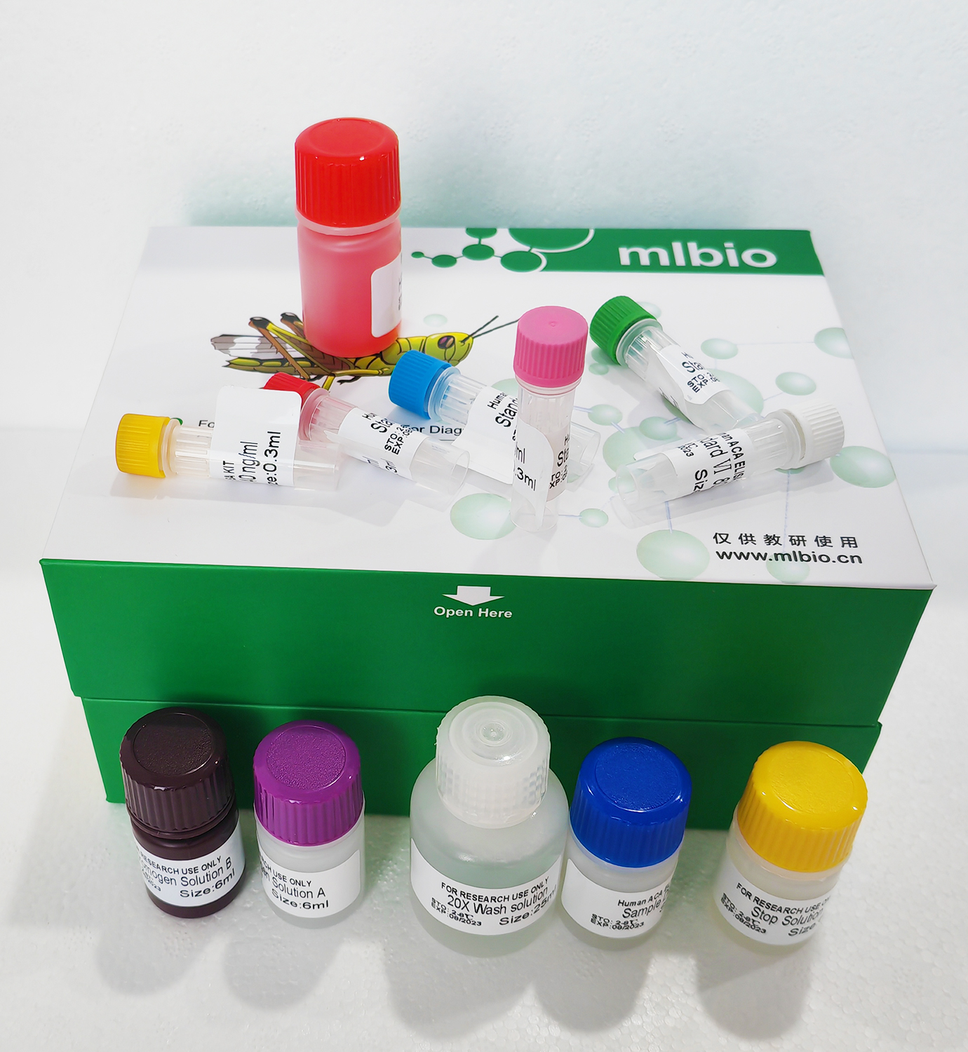 β-內(nèi)酰胺酶(β-Lactamase)ELISA試劑盒主圖