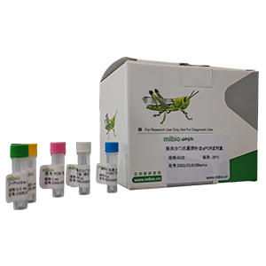 生孢梭狀芽孢桿菌(生孢梭菌)探針法qPCR試劑盒(不含內(nèi)參)主圖