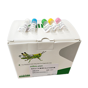 札如病毒G2型探針法qRT-PCR試劑盒(不含內(nèi)參)主圖