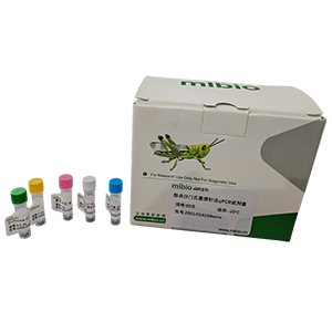 致瀉性大腸桿菌探針法qPCR試劑盒(不含內參)主圖