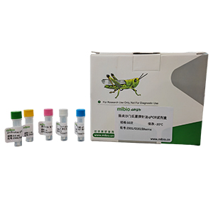 菊歐文氏菌香石竹致病變種探針?lè)╭PCR試劑盒(不含內(nèi)參)主圖